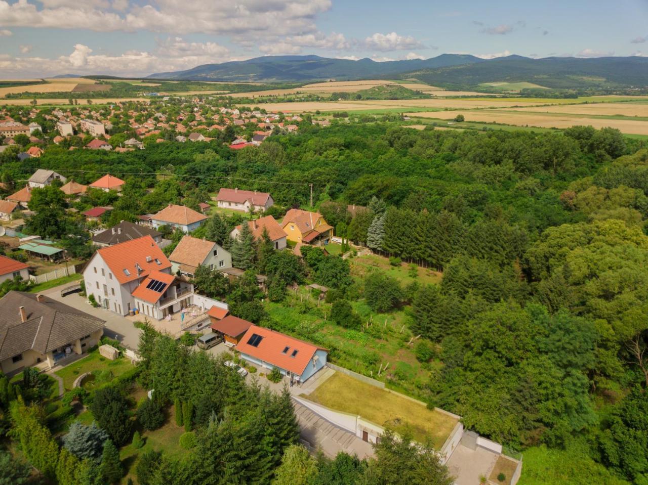 Villa Rigo Panzio Verpelét Екстериор снимка